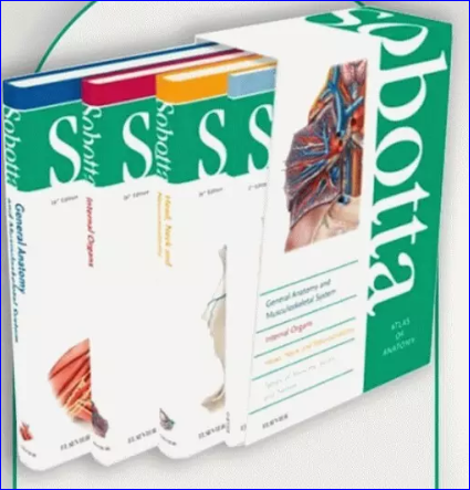 کتاب اطلس آناتومی زوبوتا | Atlas of Human Anatomy Sobotta 2018