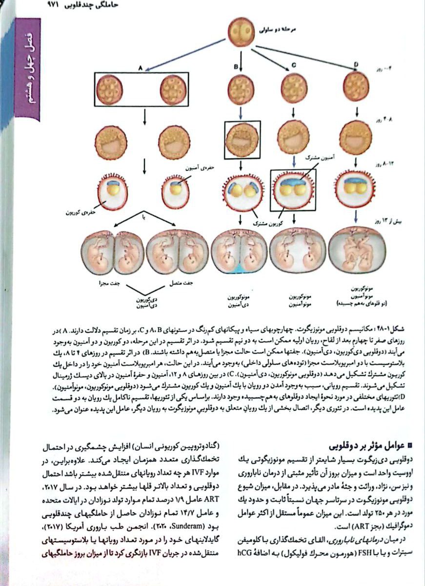 بارداری و زایمان ویلیامز 2022 جلد سوم