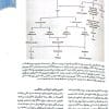 بارداری و زایمان ویلیامز 2022 جلد سوم