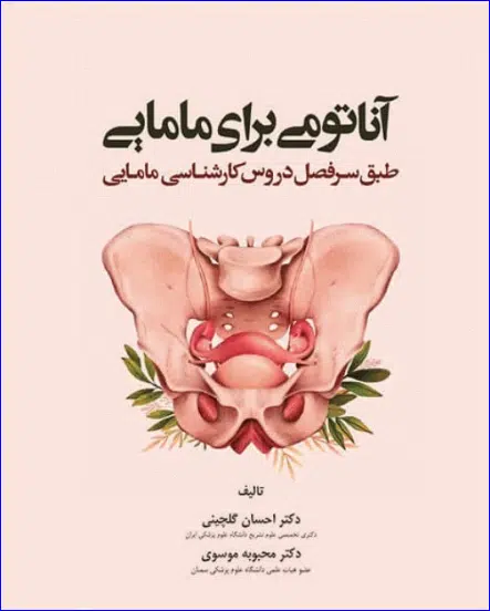 7 کتاب آناتومی برای مامایی دکتر گلچینی و موسوی