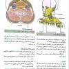 کتاب آناتومی گری برای دانشجویان 2024 جلد سوم سر و گردن