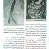 کتاب آناتومی گری برای دانشجویان 2024 جلد اول تنه