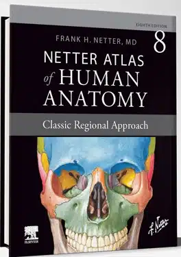 کتاب اطلس نتر رحلی گلاسه آرتین طب