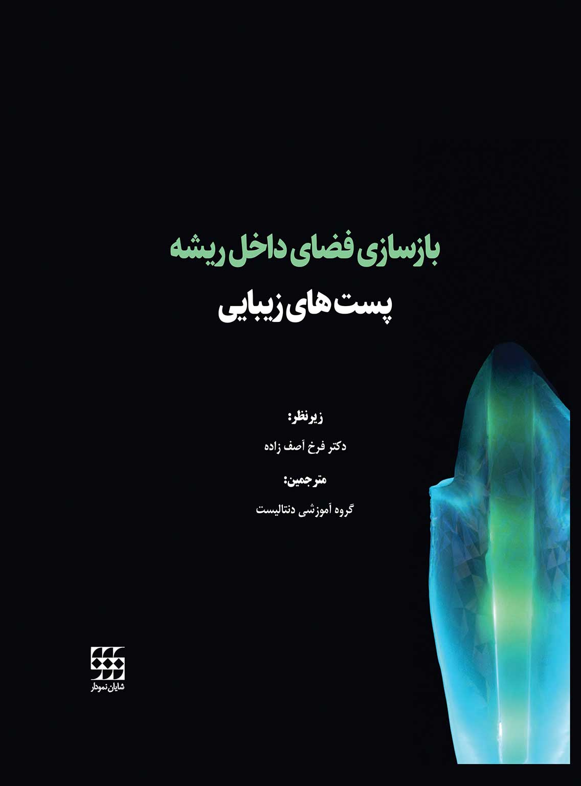 145 کتاب بازسازی فضای داخل ریشه: پست های زیبایی