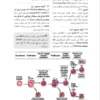 بانک تست ایمونولوژی پایه ابوالعباس