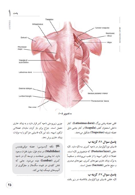 بانک تست آناتومی اسنل