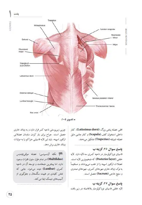 بانک تست آناتومی اسنل