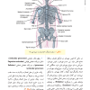 خلاصه آناتومی اسنل 2025 آرازنوین