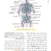 خلاصه آناتومی اسنل 2025 آرازنوین