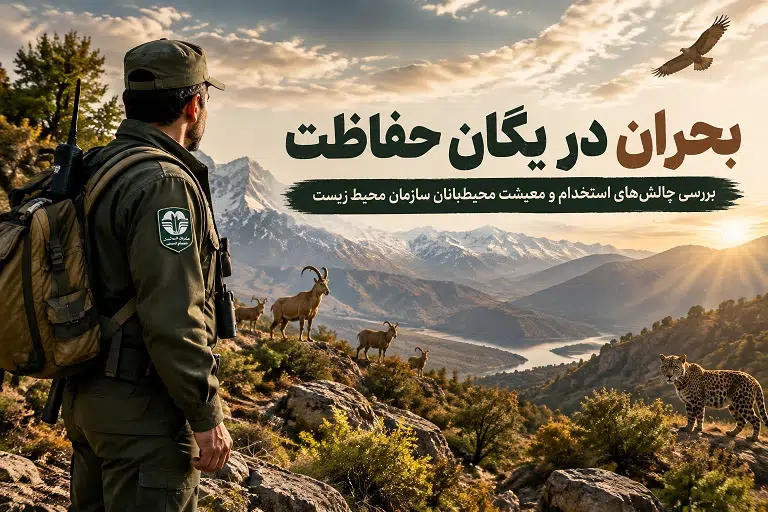 بحران در یگان حفاظت؛ بررسی چالشهای استخدام و معیشت محیطبانان سازمان محیط زیست